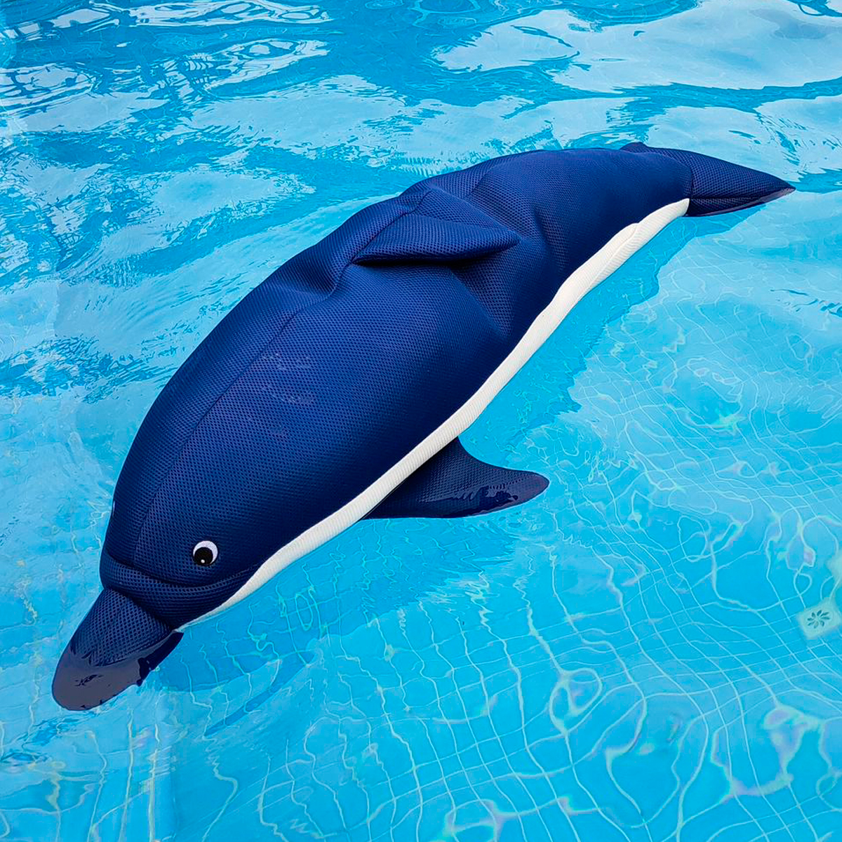 golfinho piscina