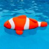 nemo piscina
