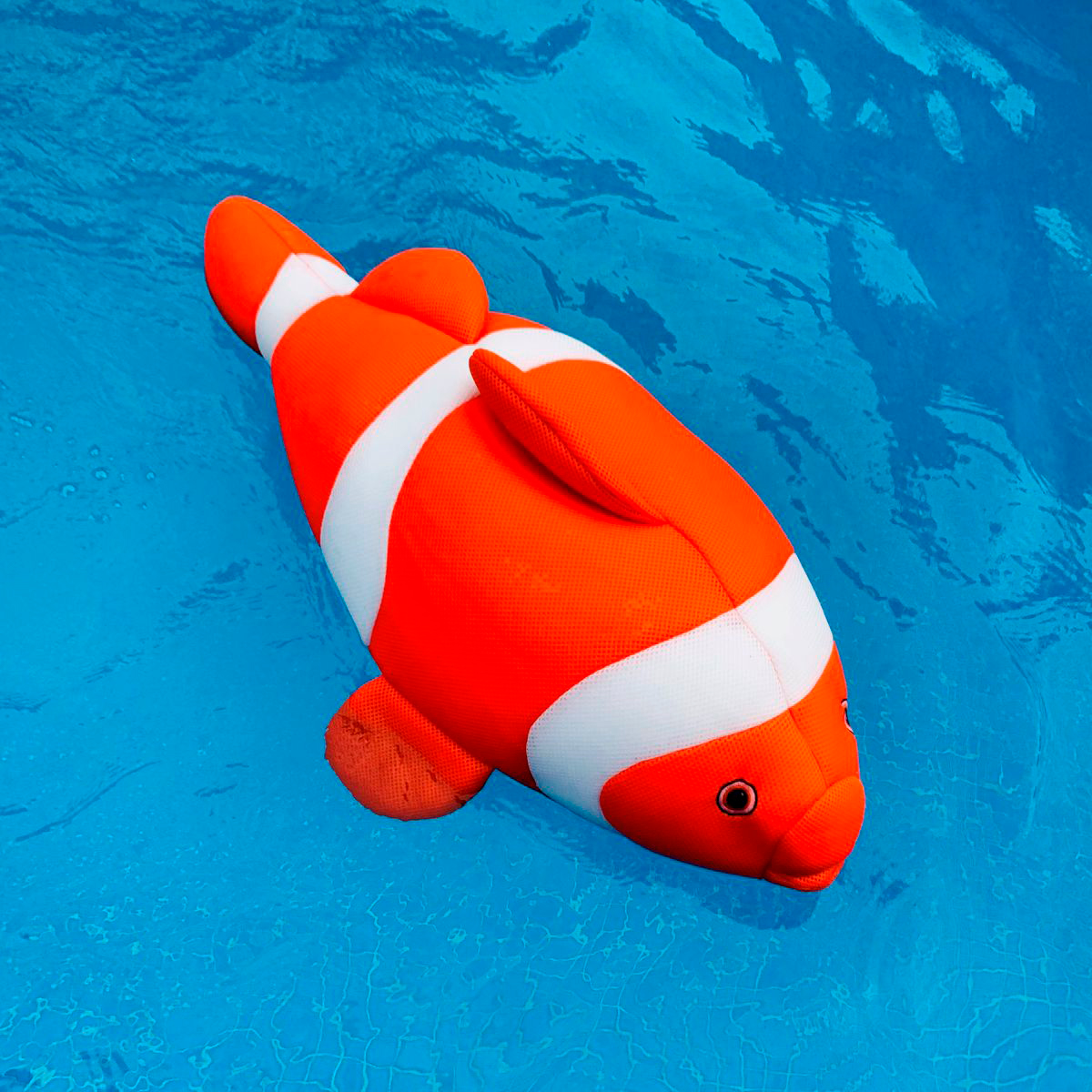 nemo piscina 2